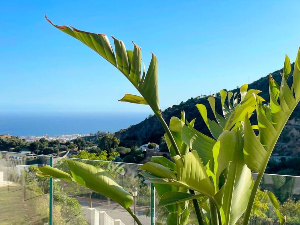 412. Espectacular Apartamento Palo Alto Apartment in Sierra de las Nieves