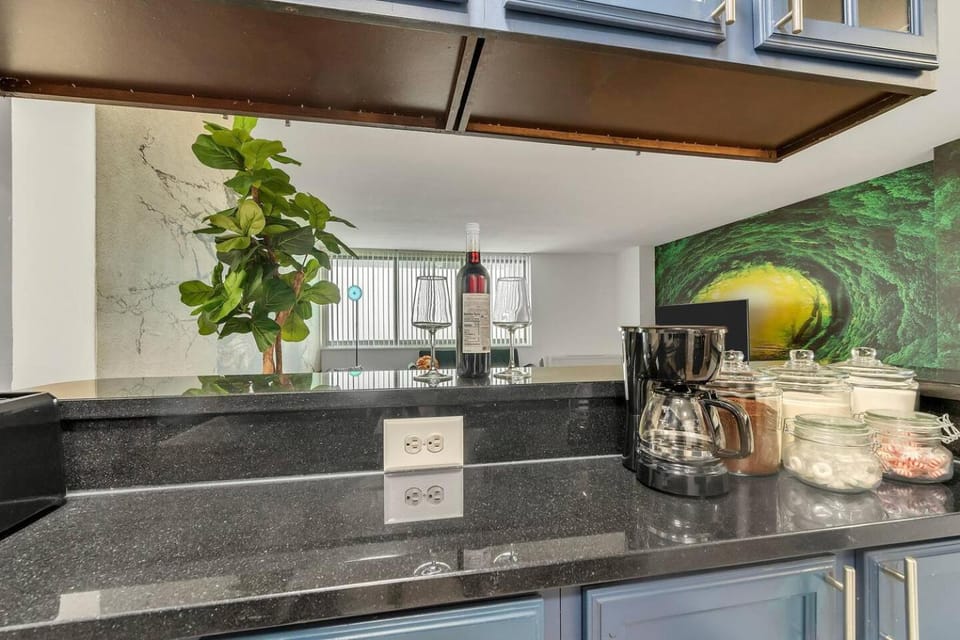 A WELL SEASONED APT IN TOWSON MD.WALKING DISTANCE TO EVERYTHING. Apartment in Towson