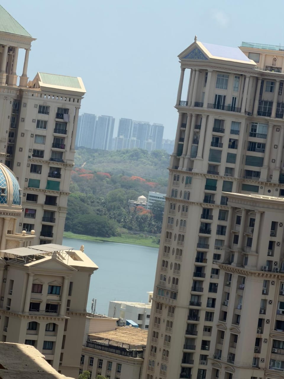 Lake view