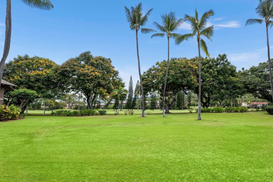Kanaloa at Keauhou 405 House in South Kona
