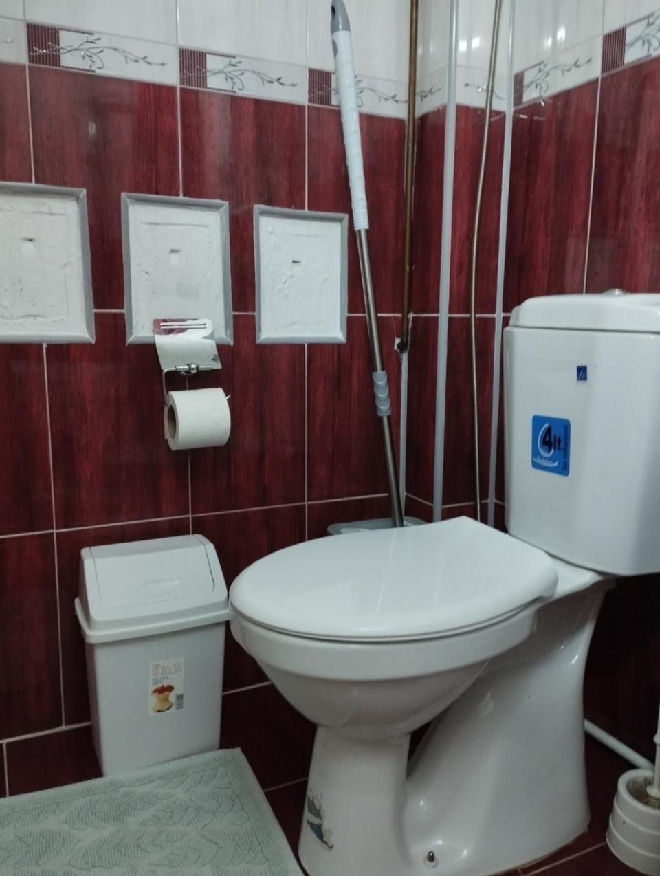 Dana Apartment in Serbia