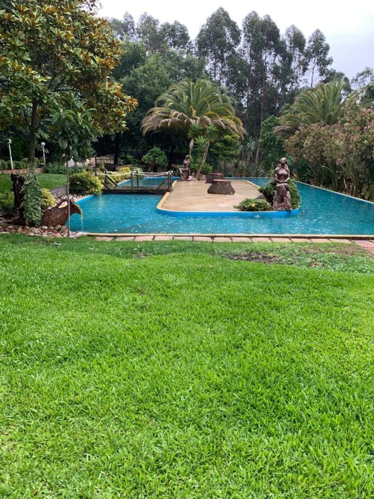 Bouça do Sossego House in Porto District