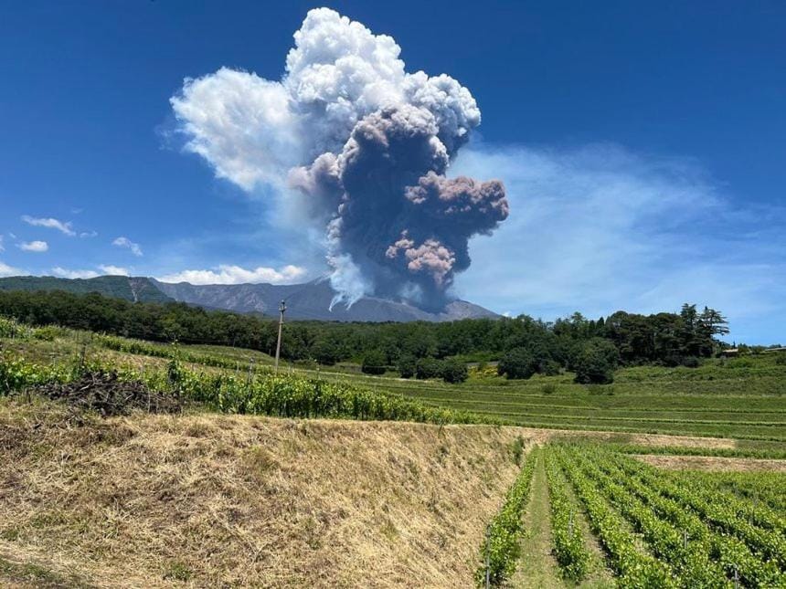 Tenuta Kiwi dell’Etna House in Sicily