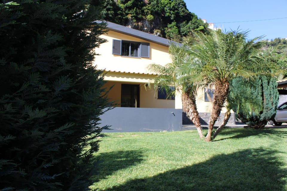 Property building, Garden, Garden view