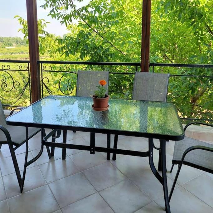 Balcony/Terrace, Balcony/Terrace, Garden view