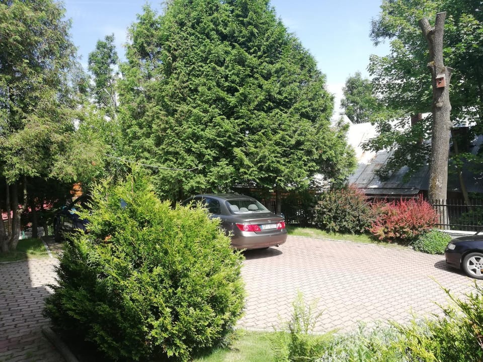 Willa Marianna Bed and Breakfast in Zakopane