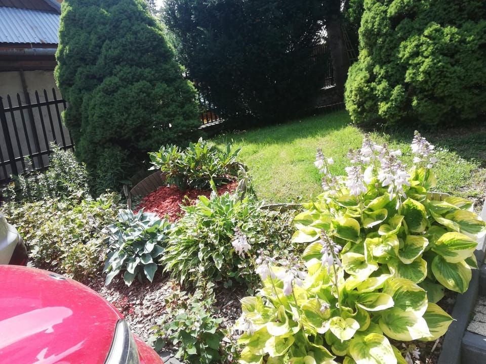 Willa Marianna Bed and Breakfast in Zakopane