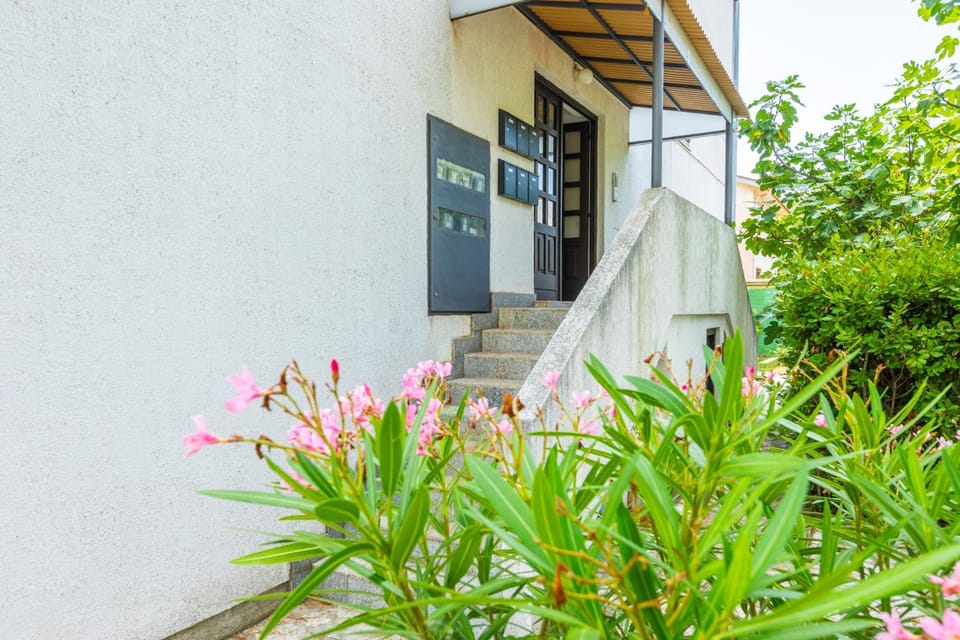 Property building, Spring, Day, Garden, Garden view