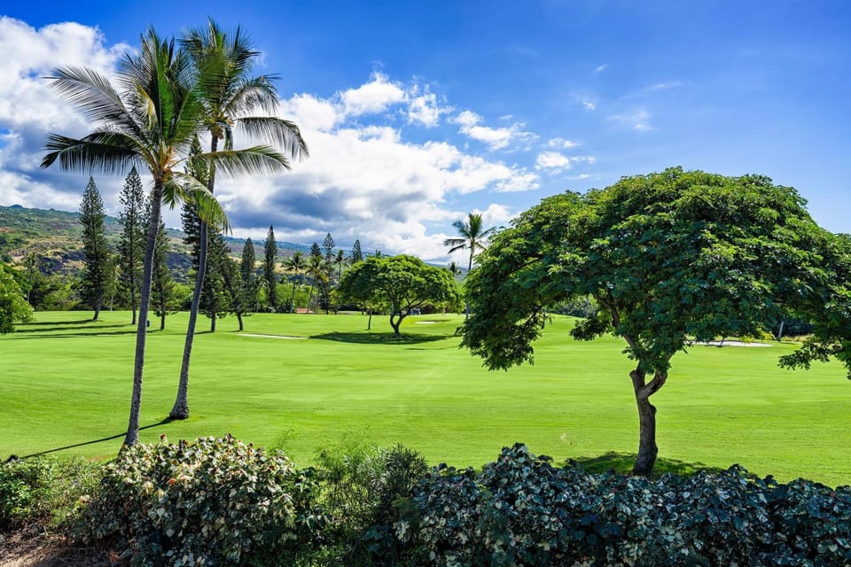 Holua Kai 11 House in South Kona