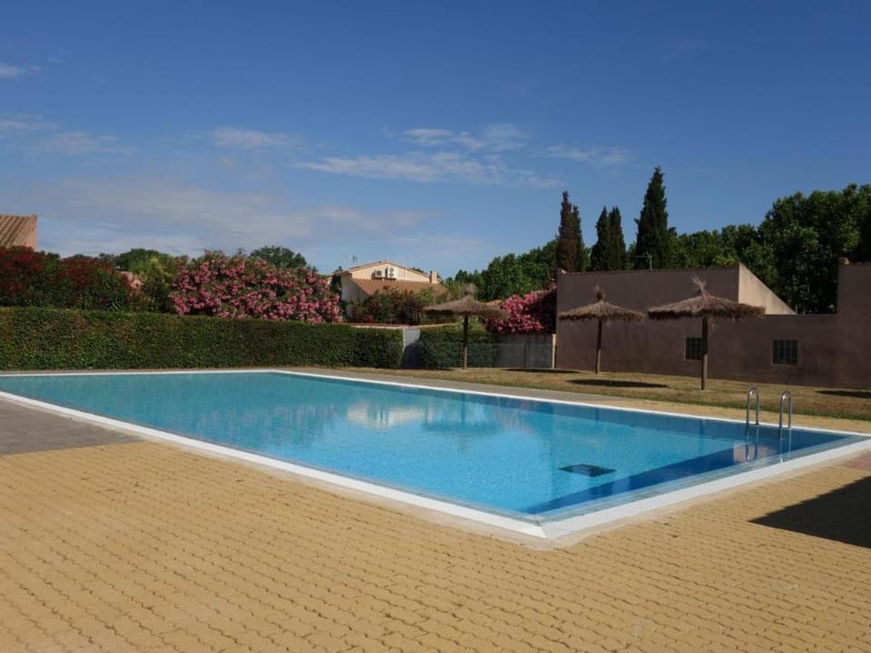 Day, Pool view, Swimming pool, Swimming pool
