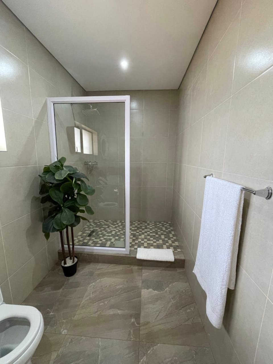 Shower, Toilet, Bathroom, towels