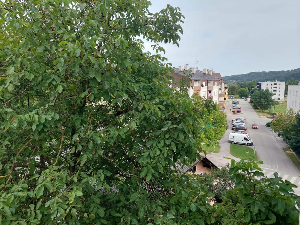 Street view, Location