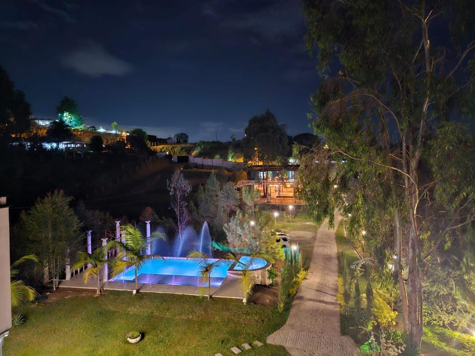 Night, Natural landscape, Garden, Pool view, Swimming pool