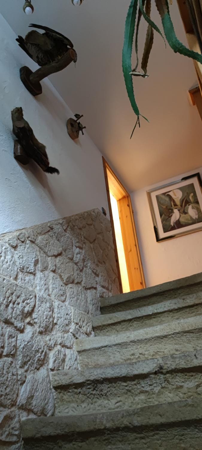 Mitten in der Natur, ganz nah bei Dresden. Apartment in Freital