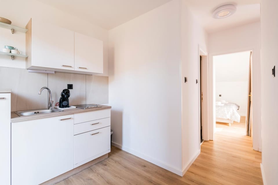 MARTINUS-V Apartment in Slovenia