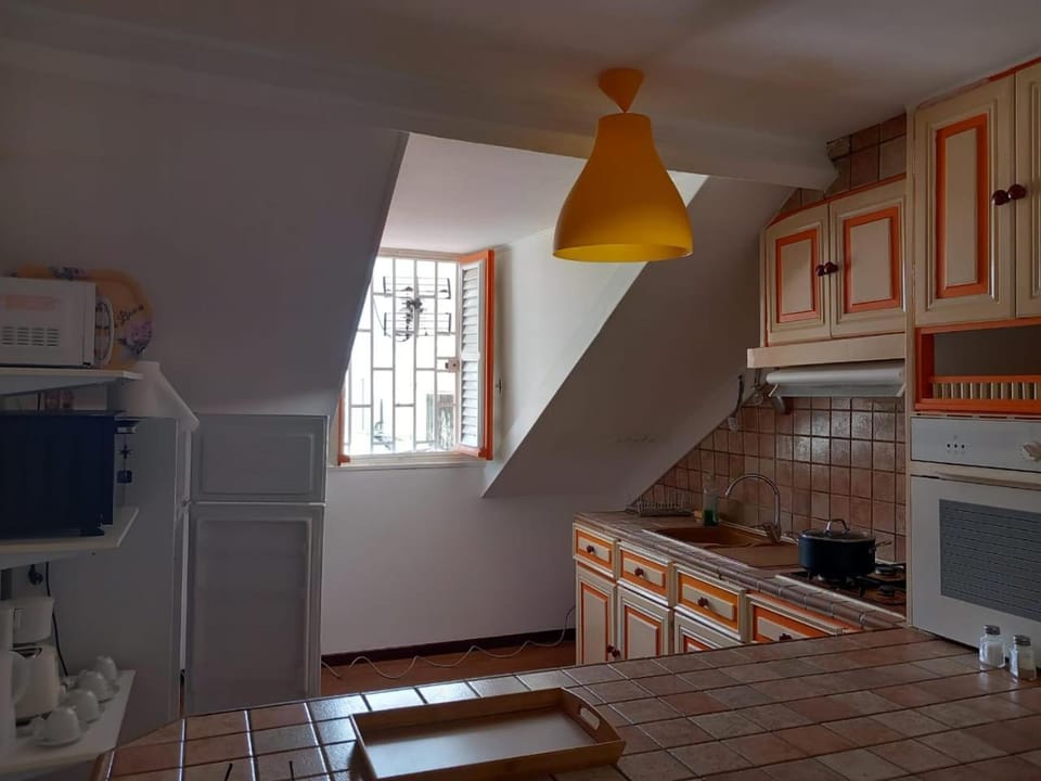 Kitchen or kitchenette, minibar, pet friendly, stove