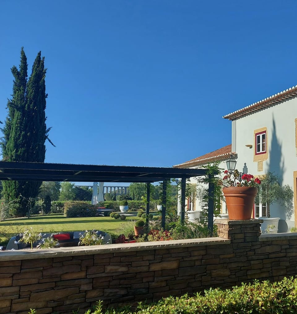 Garden, Garden view, Garden view