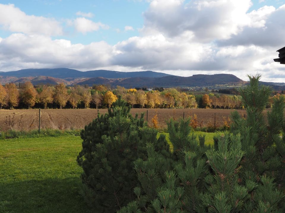 Nearby landmark, Day, Natural landscape, Garden, Garden, View (from property/room), View (from property/room), Autumn, Mountain view