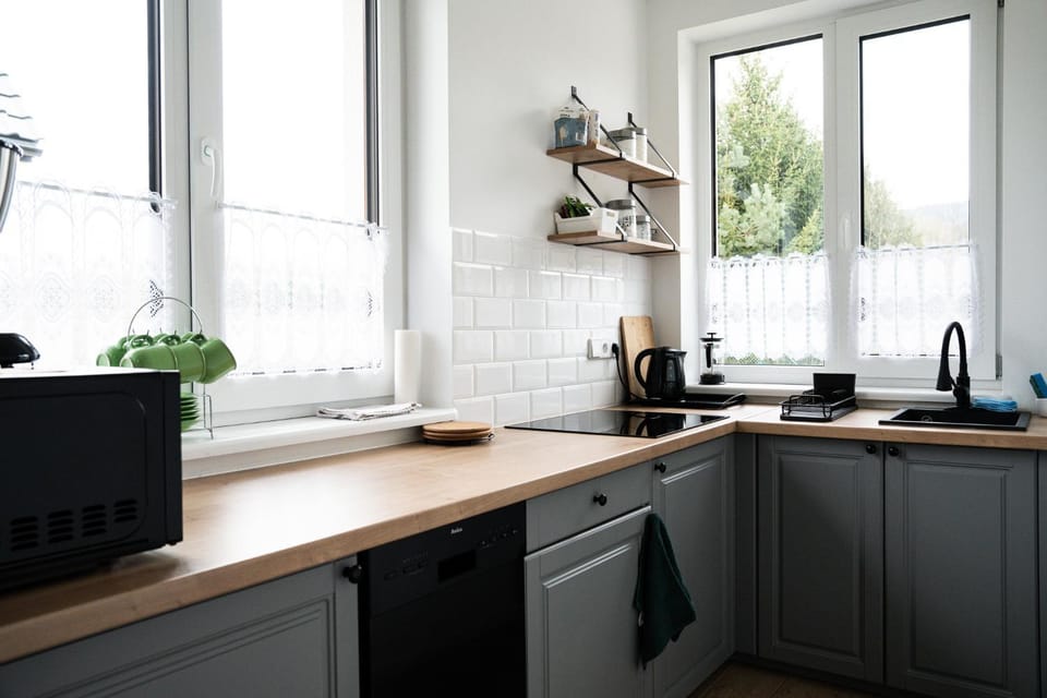 Kitchen or kitchenette, dishwasher, stove