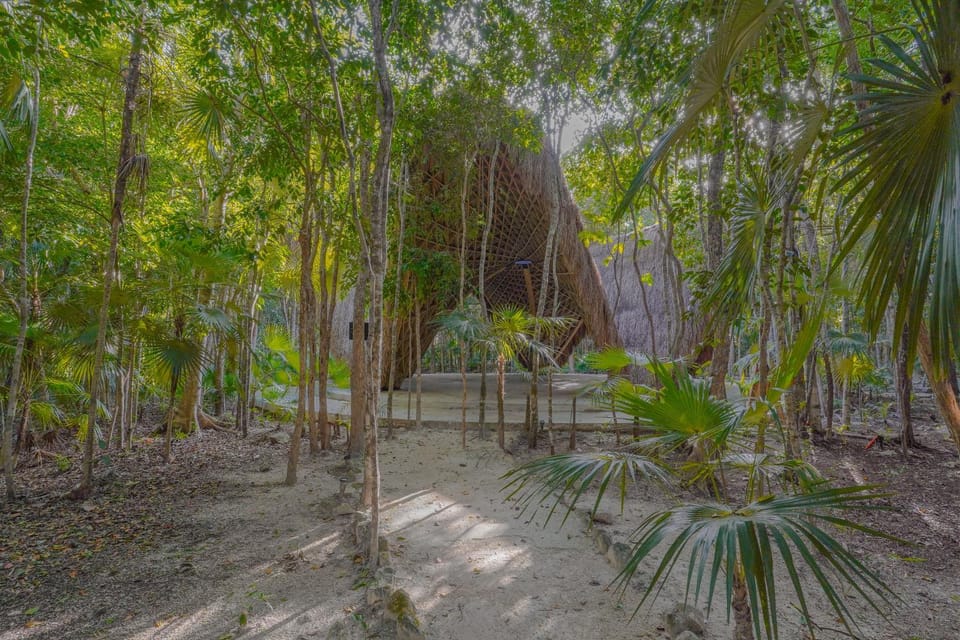 Natural landscape, Garden view
