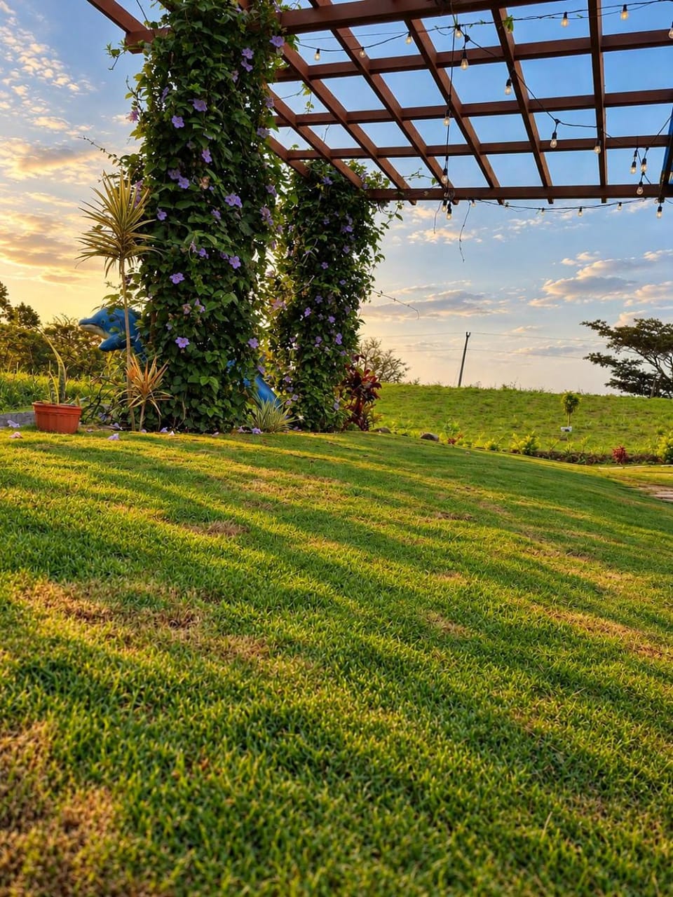Natural landscape, Garden, Garden view