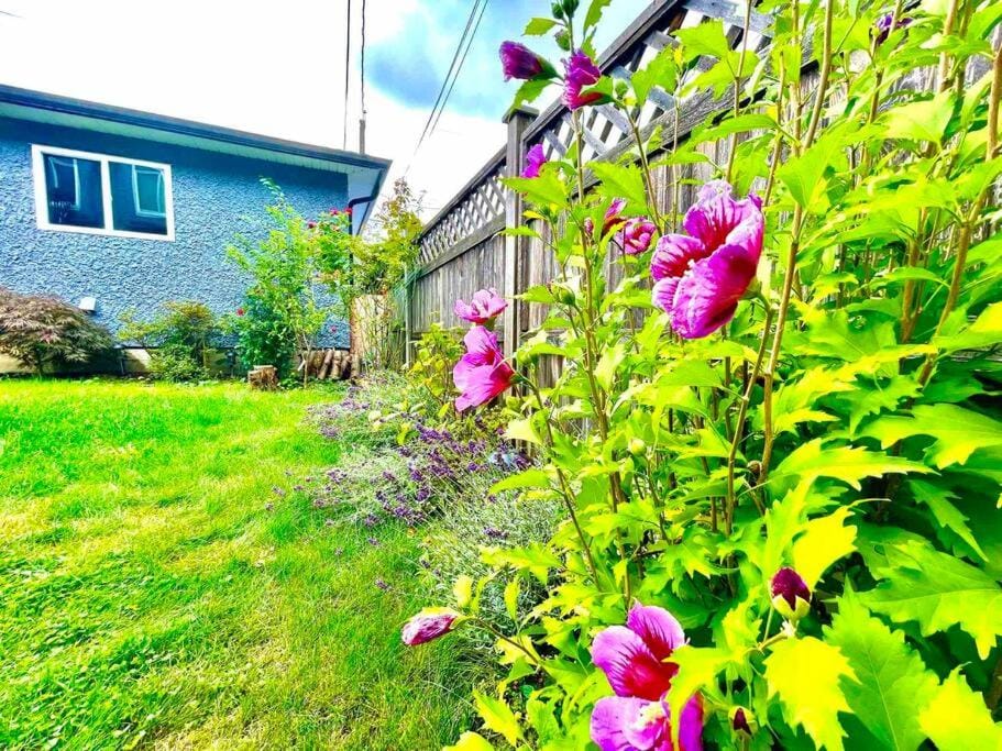 Charming 1BR near Metrotown DT Burnaby/ Vancouver House in Vancouver