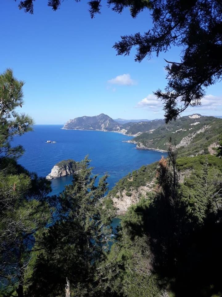 village pleasure Apartment in Corfu, Greece
