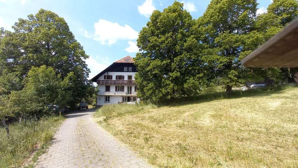 Property building, Spring