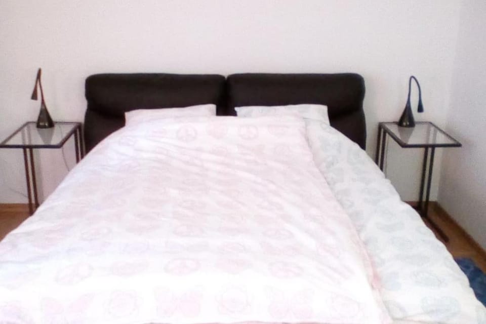 ZAGREB Botanical Garden Budget Apartment Apartment in City of Zagreb