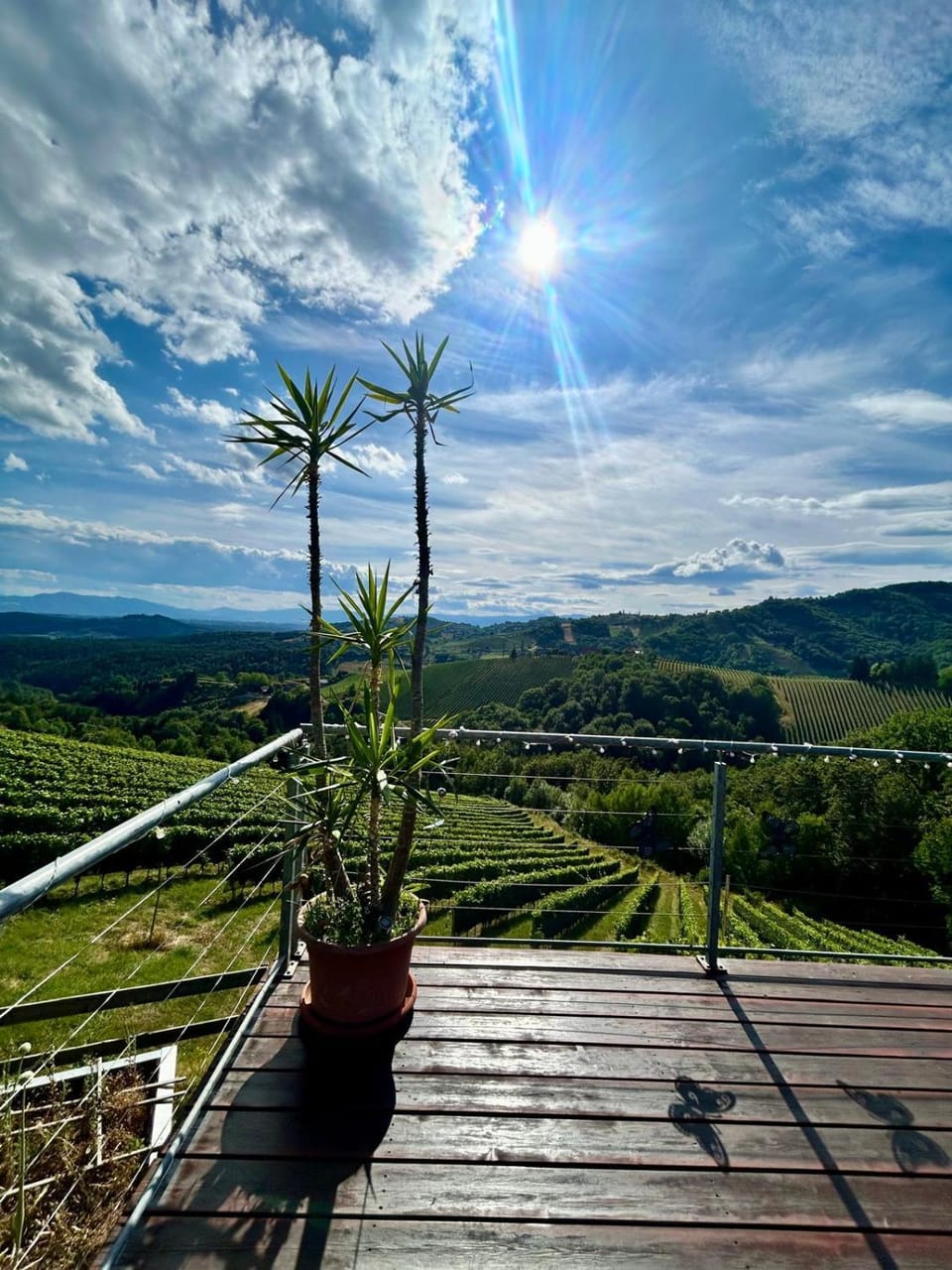 Natural landscape