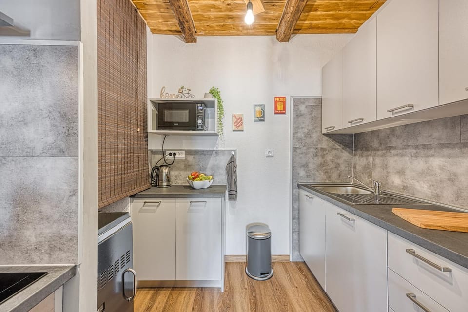 Kitchen or kitchenette, dishwasher, oven, stove