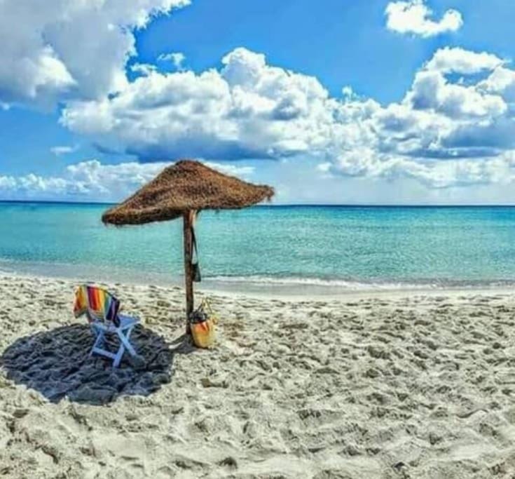 Beach