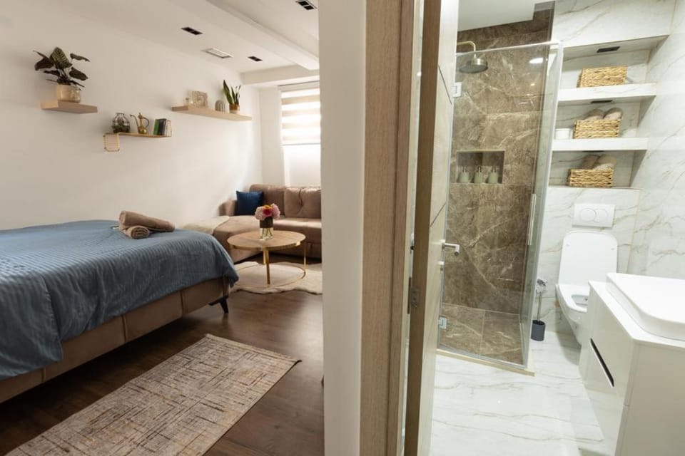 Bonsai Apartment Apartment in Serbia