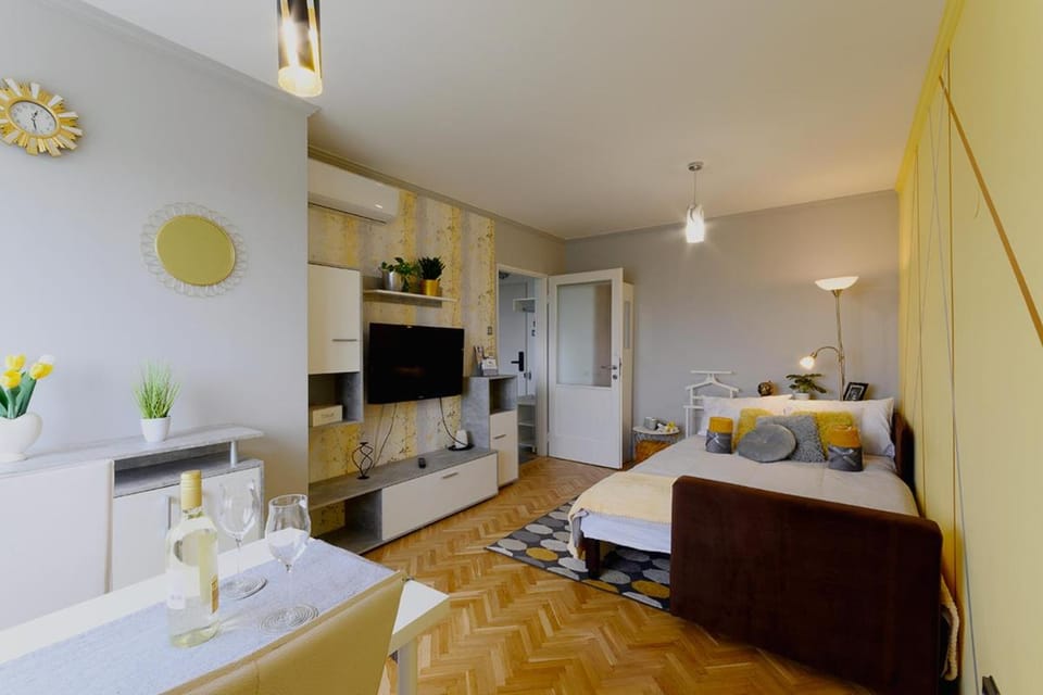 Bed, TV and multimedia, Living room, Photo of the whole room, Seating area, Bedroom, air conditioner