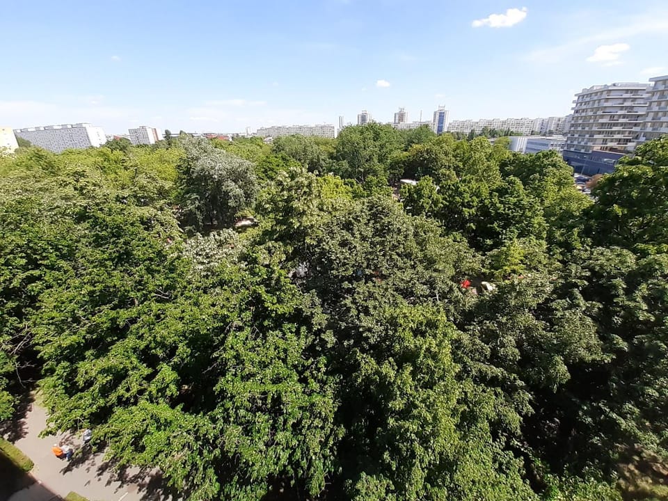Garden view