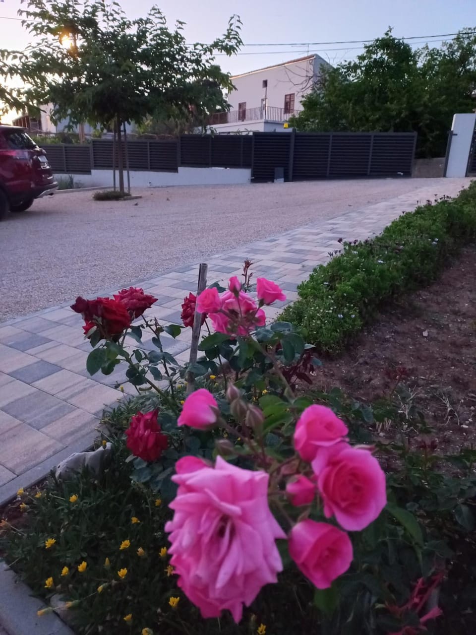 Garden view