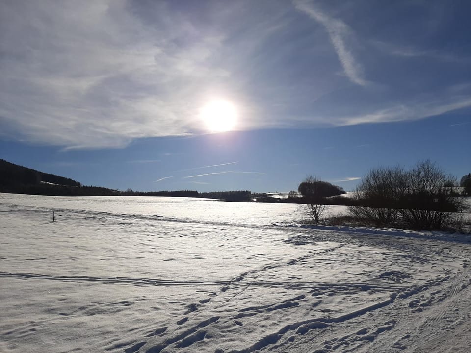 Ferienwohnung Marion Apartment in Vulkaneifel