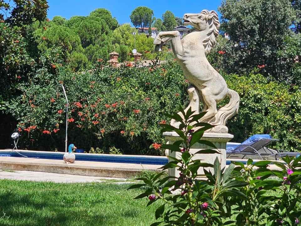 Garden, Garden view