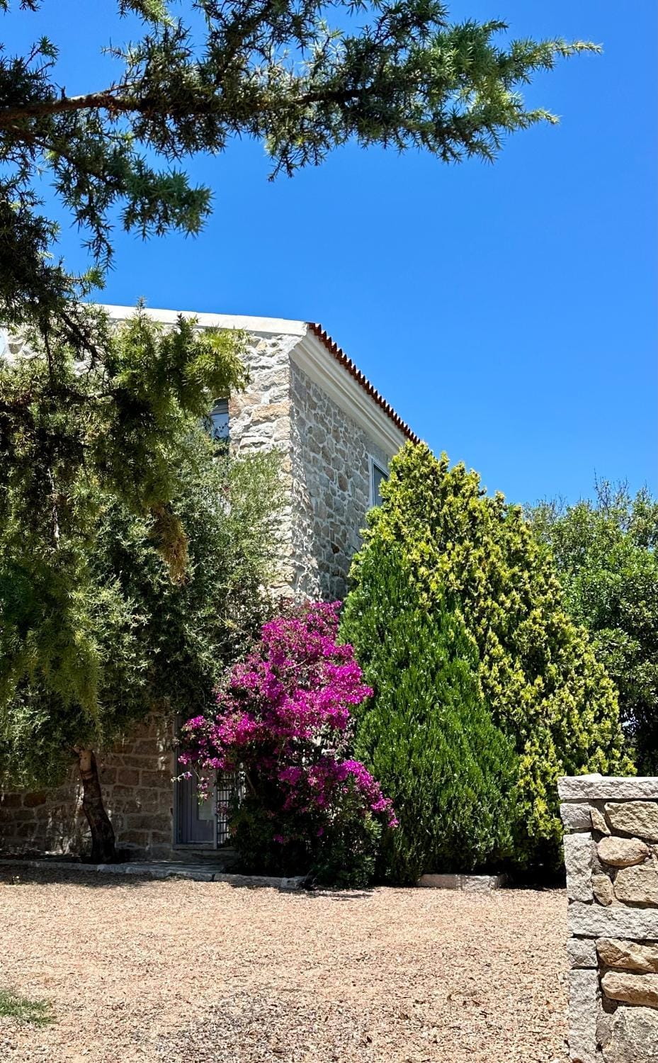 Property building, Garden