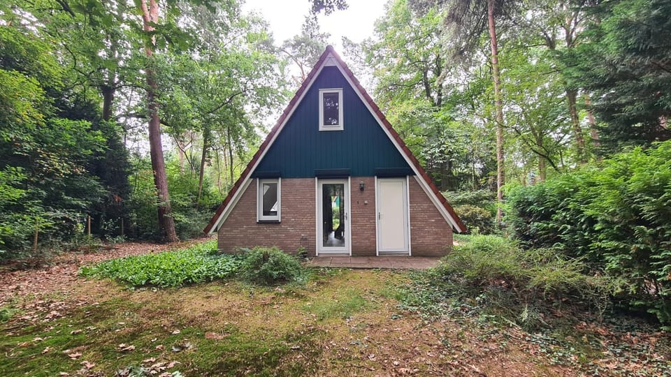 Property building, Garden view
