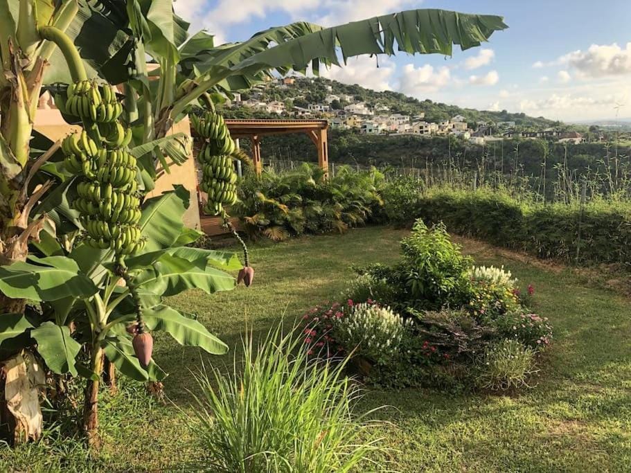 Natural landscape, Garden