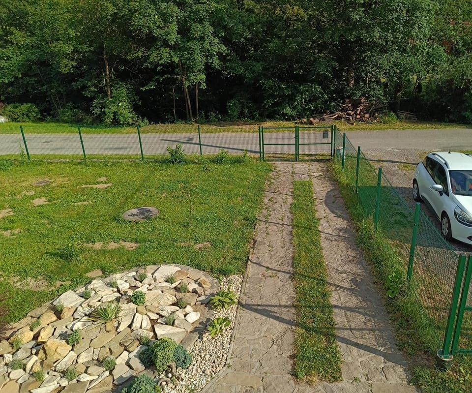 Spring, Day, Neighbourhood, Natural landscape, Garden, Garden view, Parking