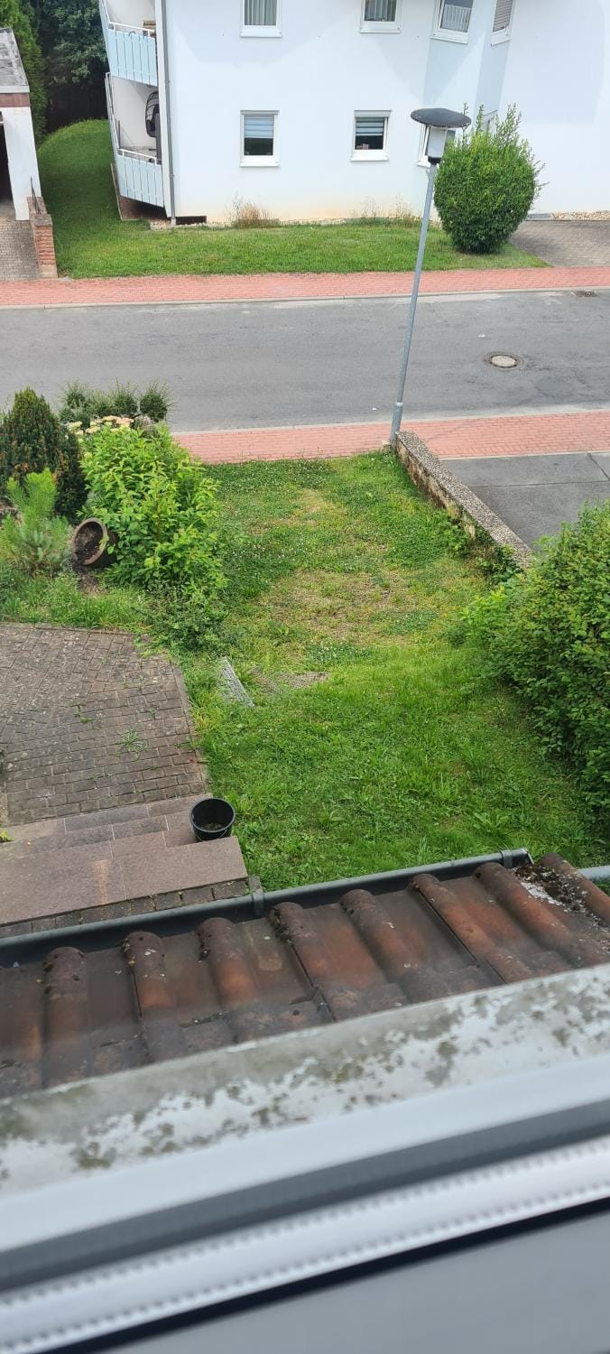 Quiet street view