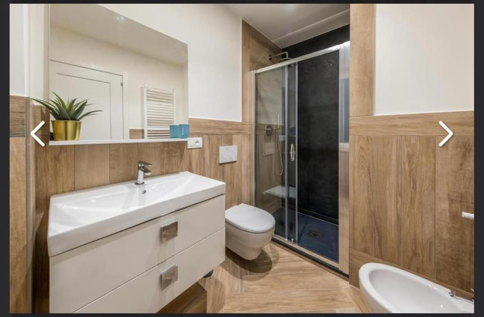 Shower, Toilet, Bathroom, bidet
