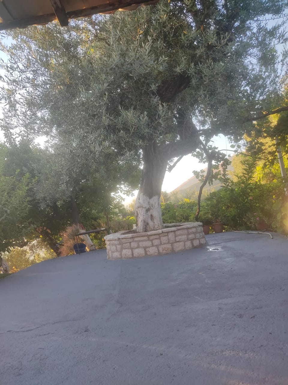 Gjosasi House Nature lodge in Vlorë County, Albania