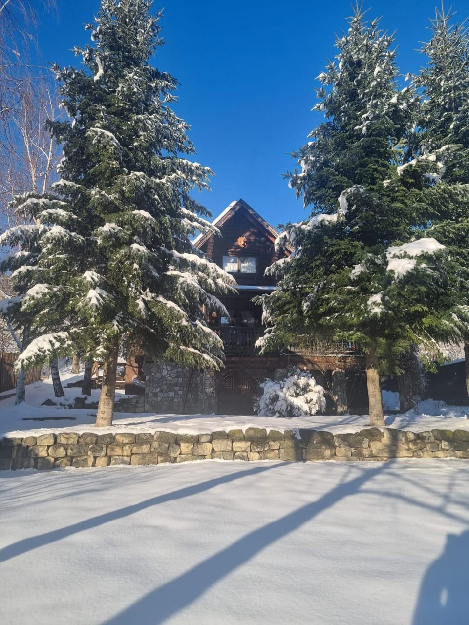 Cabana Haiducului House in Moldova