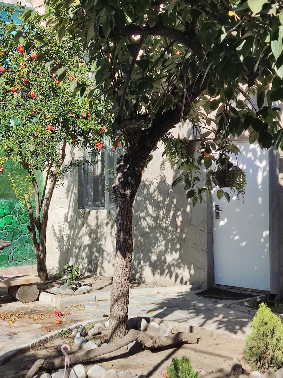 Garden, Garden view