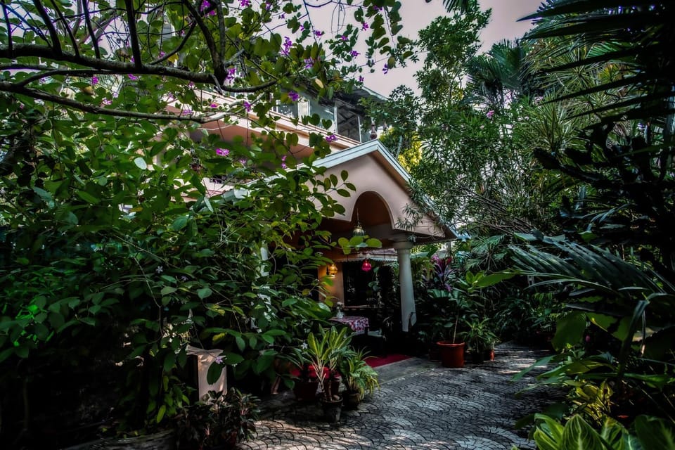 Property building, Garden view
