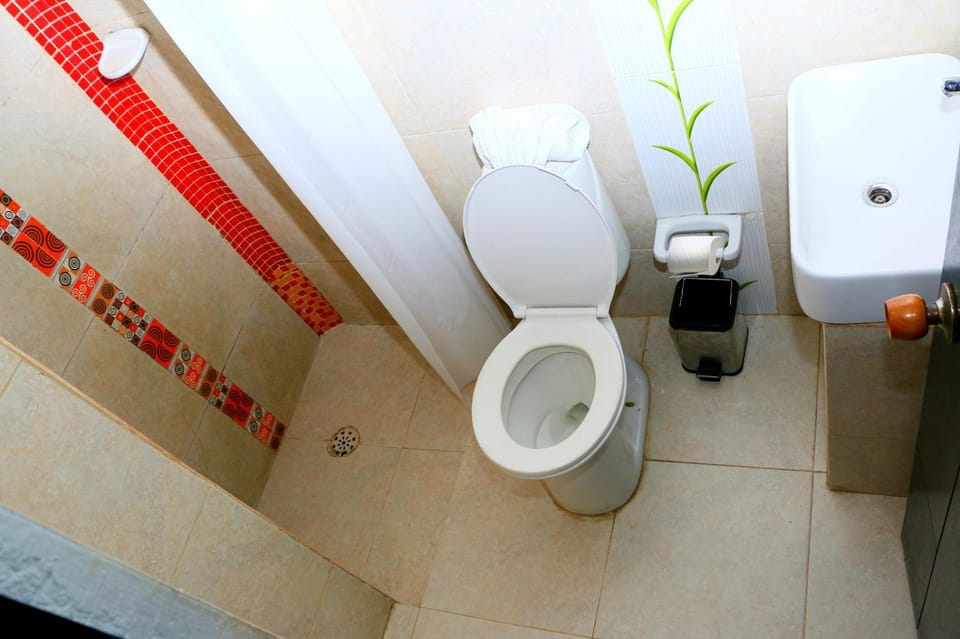 Toilet, Bathroom, bidet