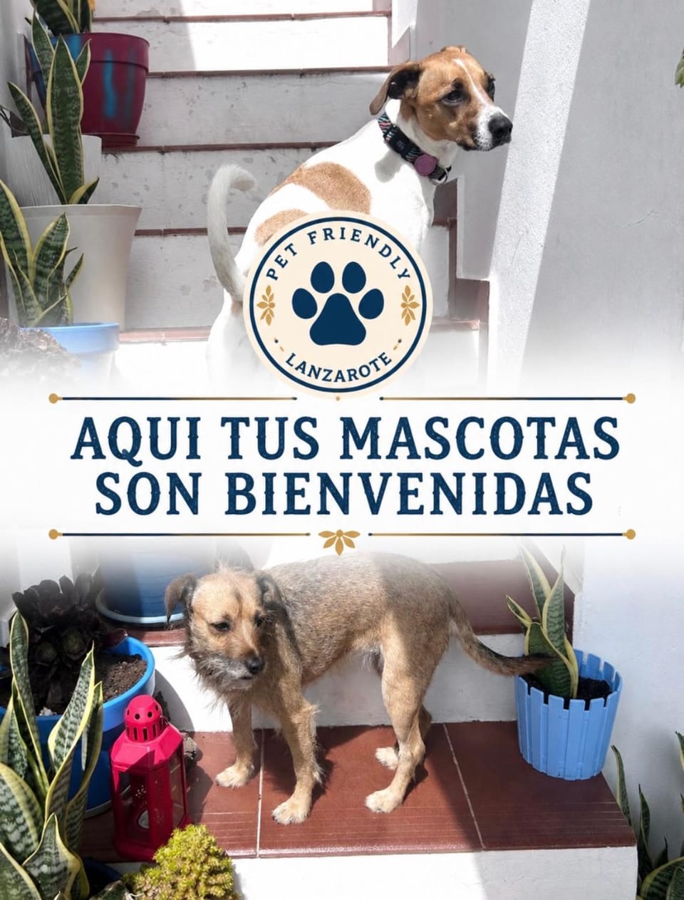 El Charco Rooms Bed and Breakfast in Arrecife